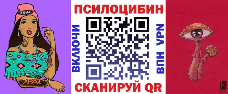 Галлюциногенные грибы Magic Shrooms  mega ТОР  Щёлкино 